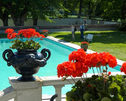 _DSC0163 Flowers, pool and garden