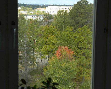 _DSC0013 Autumn, view from the kitchen window