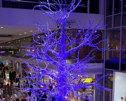 _DSC0026 Blue tree in Gallerian.