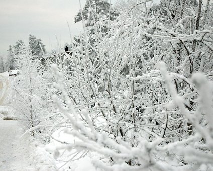 _DSC0015 Winter landscape in Segeltorp