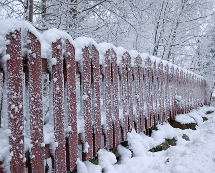 _DSC0036 Frosty fence