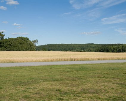 _DSC0037 Wheat field near Steninge castle.