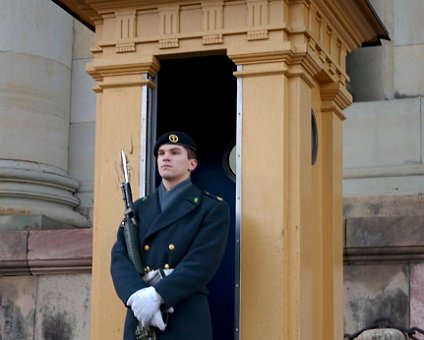 _DSC0028 Guard at the Royal Palace.