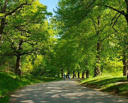 _DSC0079 Walking in Hagaparken.