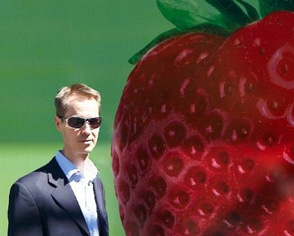 _DSC0158 Arto next to a strawberry.