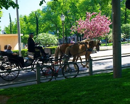 _DSC0167 Horses and carriage in Helsinki.