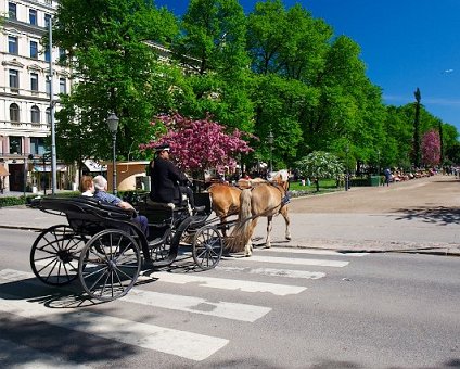 _DSC0172 Horses and carriage passing by in the park.