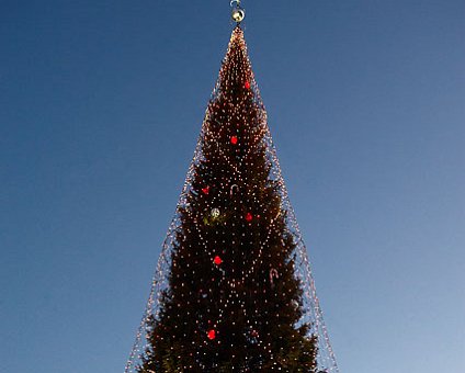 _DSC0044 Christmas tree on Skeppsbron, 38 meters tall.