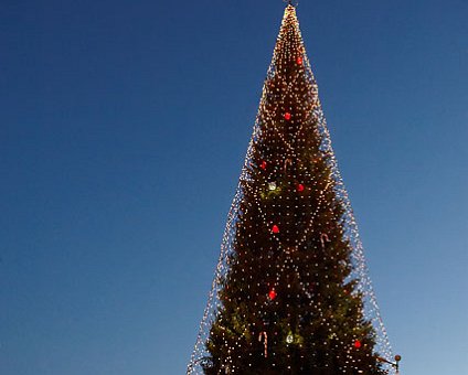_DSC0052 Christmas tree on Skeppsbron, 38 meters tall.