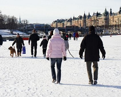 _DSC0050 Walking on the frozen lake, view towards the city.