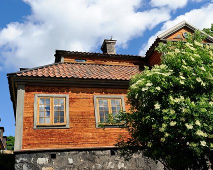 _DSC0003 Old house at Skansen.