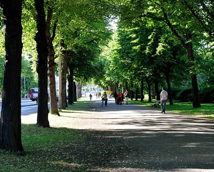 _DSC0144 Walking at Djurgården.