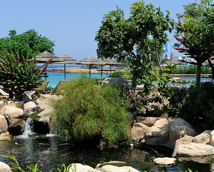 _DSC0018_1 View by the pond with koi fish.