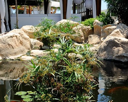 _DSC0019 The pond with koi fish by the Guru bar.