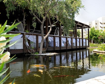 _DSC0031 The Guru restaurant and bar on the pond with koi fish.