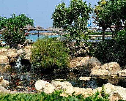 _DSC0073 View by the pond with koi fish.