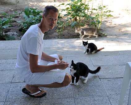 _DSC0002_1 Arto feeding the cats in Nicosia.