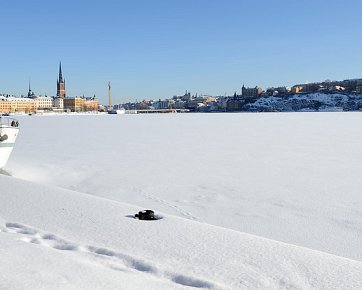 Stockholm, February Winter in Stockholm, February.