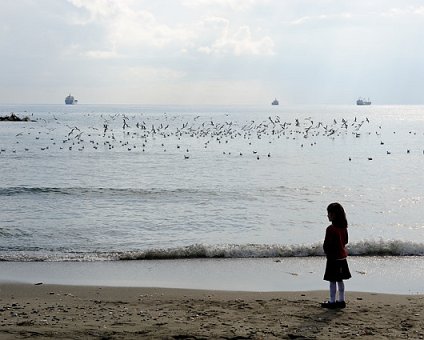 _DSC0089 Looking at the seagulls.