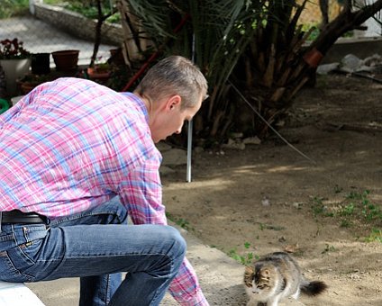 _DSC0025 Arto feeding the cats in the garden in Nicosia.