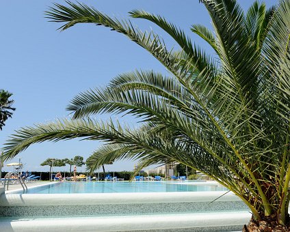 _DSC0038 By the pool at the hotel in Limassol.