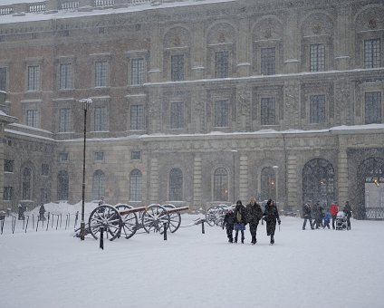 _DSC0067 Snowfall at the Royal Palace.