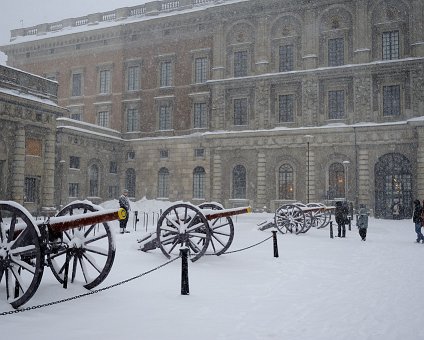 _DSC0068 Snowfall at the Royal Palace.