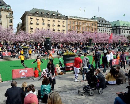 _DSC0001_1 At Kungsträdgården in April, spring is here.