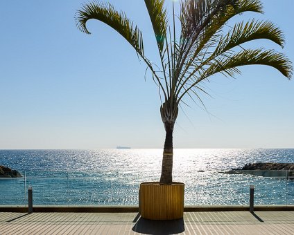 _DSC0003 By the sea at the Royal Apollonia hotel in Limassol.