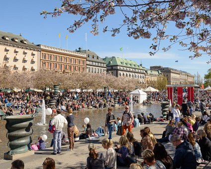 _DSC0051-2 Kungsträdgården in spring.