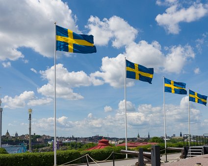 _DSC9087 Swedish flags at Skansen on Sweden's national day.
