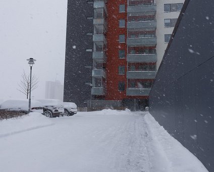 _DSC1786 Snow storm at Gärdet.