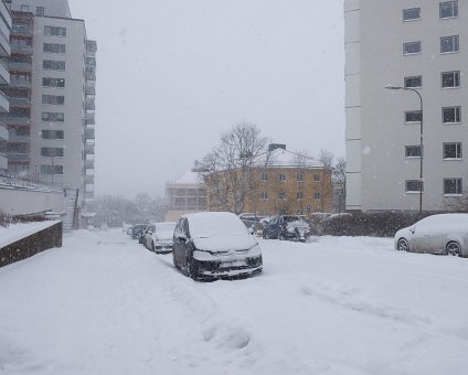 _DSC1790 Snow storm at Gärdet.