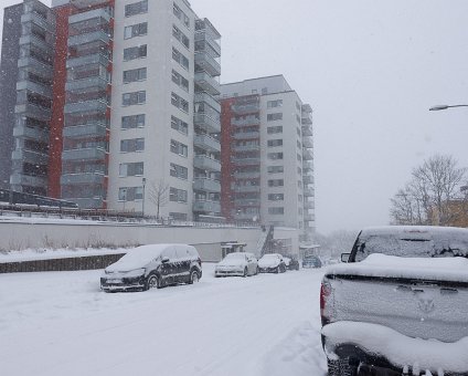 _DSC1794 Snow storm at Gärdet.