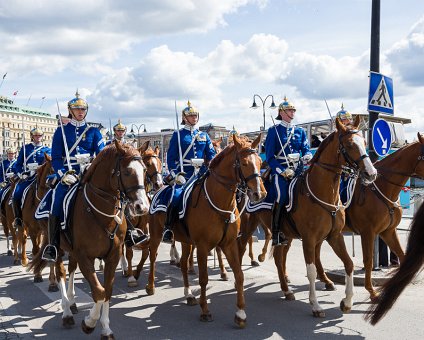 _DSC2855 Royal Guard on horses in Stockholm.