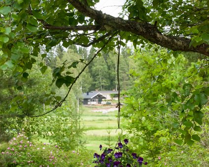 _DSC3643 Landscape from Niemi courtyard towards Kotiharju.