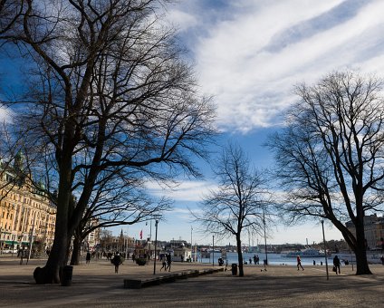 _DSC7015 Early spring in Stockholm.