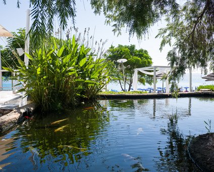 _DSC9329 View at breakfast, at the Koi pond.