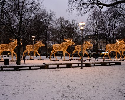 _DSC0183 Moose of light in Stockholm.