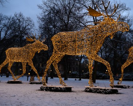_DSC0184 Moose of light in Stockholm.