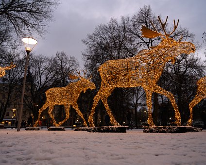 _DSC0187 Moose of light in Stockholm.