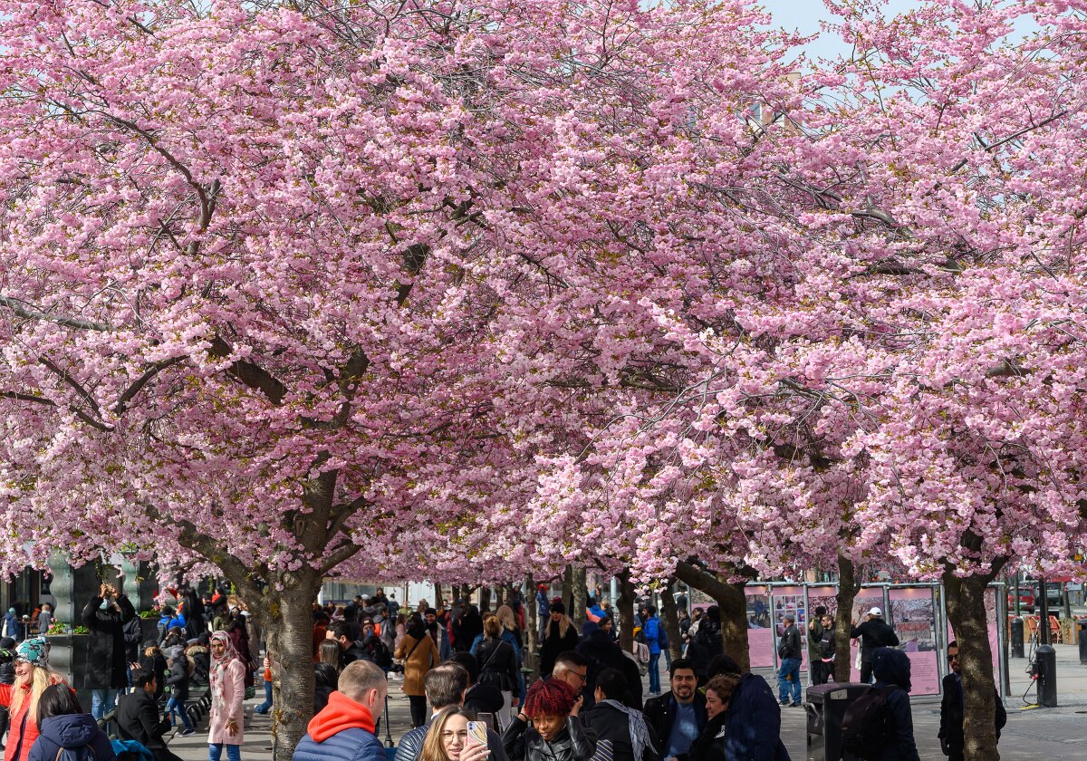 Stockholm in April