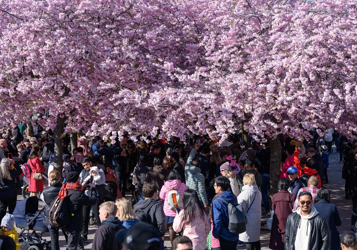 Stockholm in April