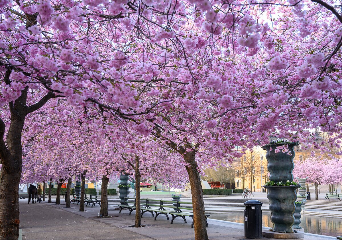 Stockholm in April