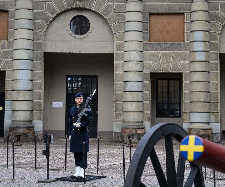 _DSC1431 Royal Guard at the Royal Palace.