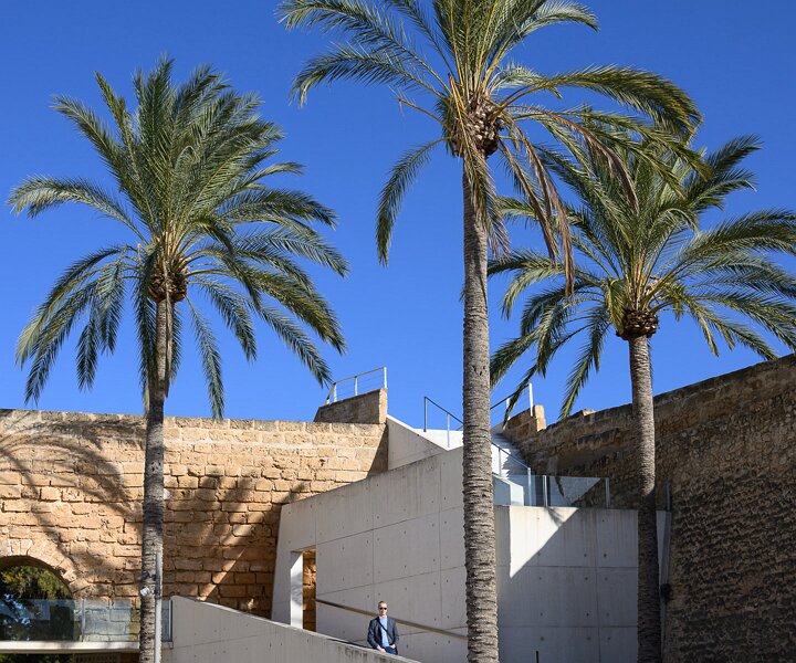 _DSC1742 Arto in Palma de Mallorca.