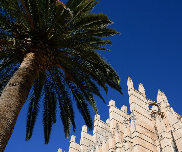 _DSC1765 At the Catedral de Mallorca in Palma.